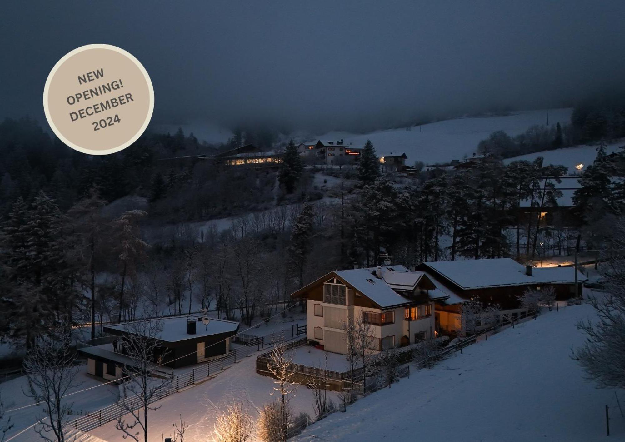 Posthof - Alpine Living Apartments カンポ・ディ・トレンス エクステリア 写真